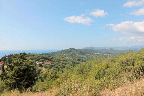 3800m² Land in Corfu, Greece No. 57780 15