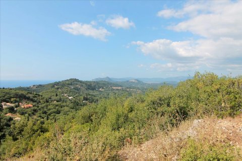 3800m² Land à Corfu, Greece No. 57780 16