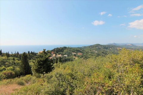 3800m² Land en Corfu, Greece No. 57780 25