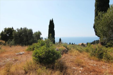 3800m² Land in Corfu, Greece No. 57780 13