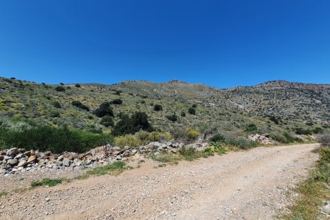 28045m² Land in Neapoli, Greece No. 56322 5