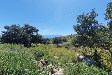 7857m² Land in Agios Nikolaos, Greece No. 56325 4