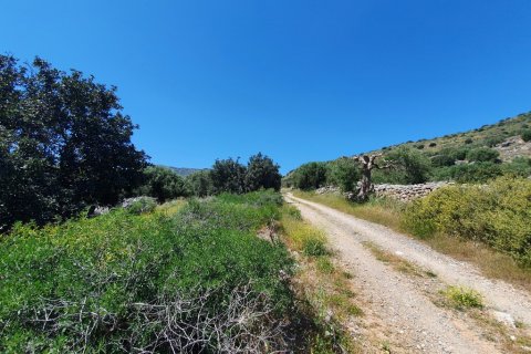 7857m² Land à Agios Nikolaos, Greece No. 56325 2