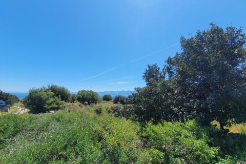 7857m² Land en Agios Nikolaos, Greece No. 56325 1