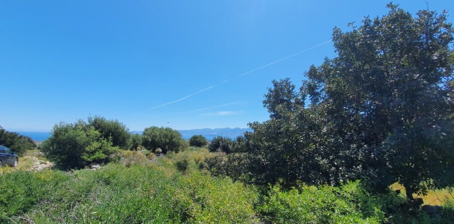 7857m² Land in Agios Nikolaos, Greece No. 56325