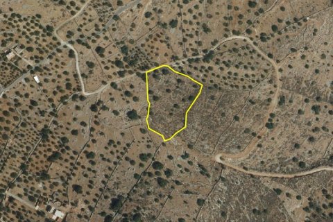 7857m² Land in Agios Nikolaos, Greece No. 56325 5