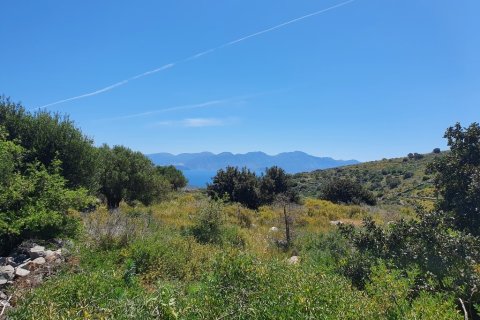 7857m² Land en Agios Nikolaos, Greece No. 56325 3