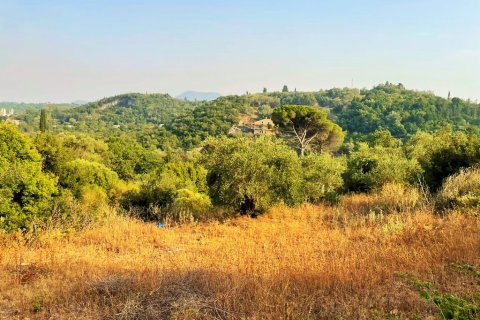 21000m² Land in Corfu, Greece No. 56187 1