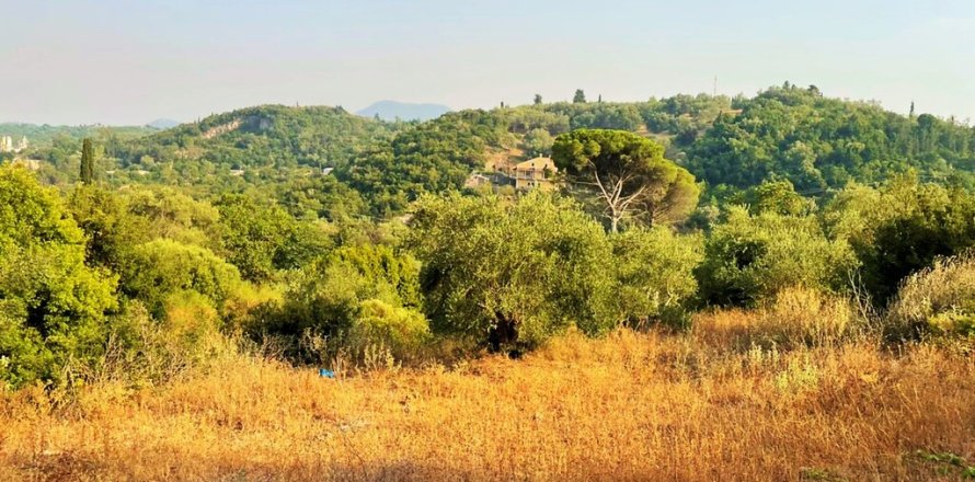 21000m² Land in Corfu, Greece No. 56187