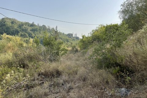 21000m² Land in Corfu, Greece No. 56187 22