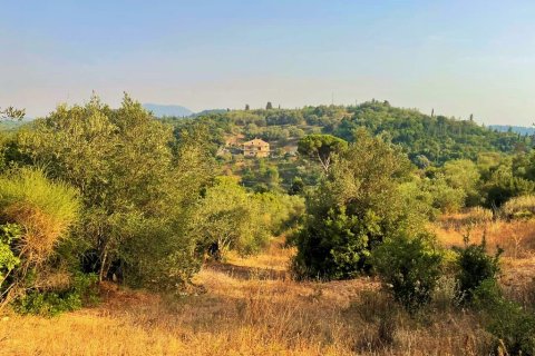 21000m² Land à Corfu, Greece No. 56187 15