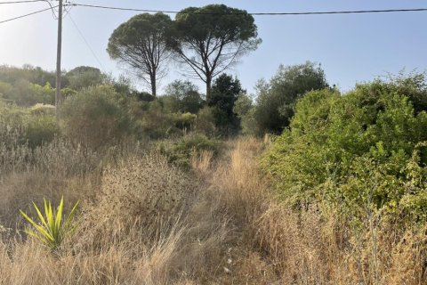 21000m² Land en Corfu, Greece No. 56187 23