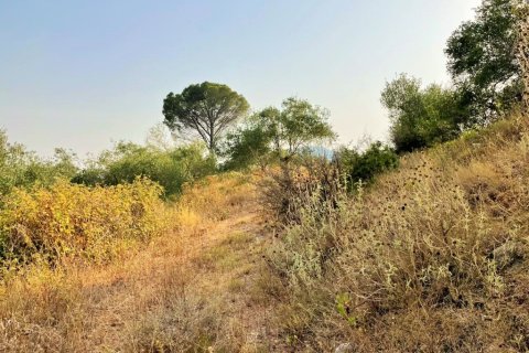 21000m² Land in Corfu, Greece No. 56187 3