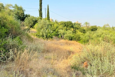 21000m² Land in Corfu, Greece No. 56187 5