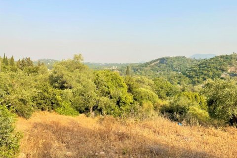 21000m² Land in Corfu, Greece No. 56187 9