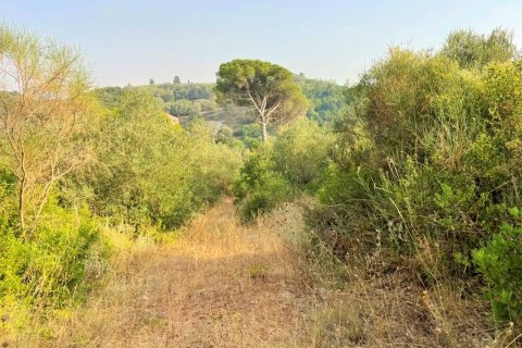 21000m² Land en Corfu, Greece No. 56187 16