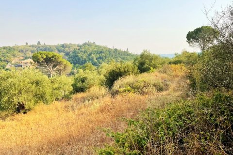 21000m² Land in Corfu, Greece No. 56187 8