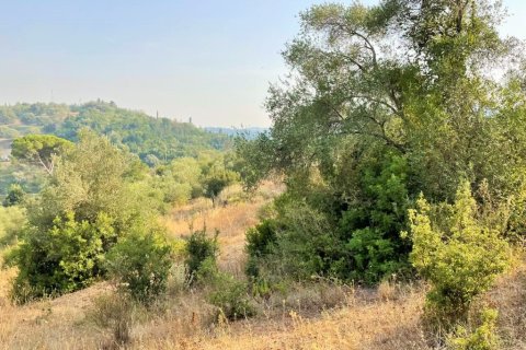 21000m² Land in Corfu, Greece No. 56187 14