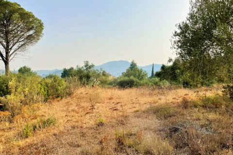 21000m² Land en Corfu, Greece No. 56187 2