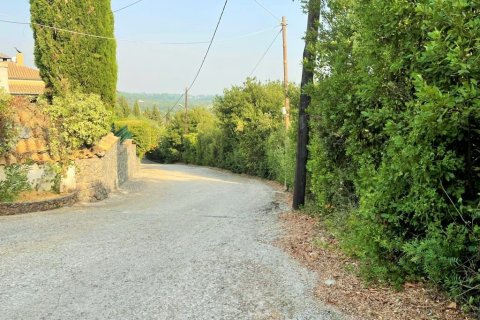 21000m² Land en Corfu, Greece No. 56187 12