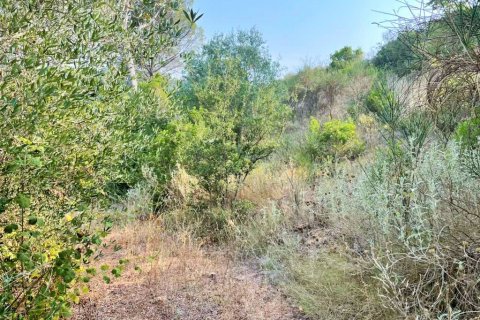 21000m² Land en Corfu, Greece No. 56187 17