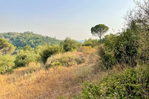 21000m² Land in Corfu, Greece No. 56187 6