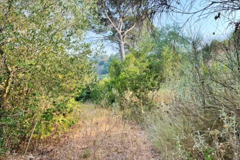 21000m² Land in Corfu, Greece No. 56187 18