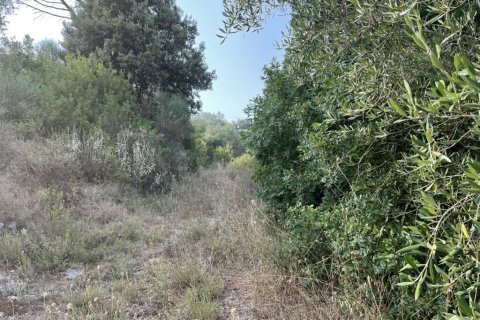 21000m² Land en Corfu, Greece No. 56187 24