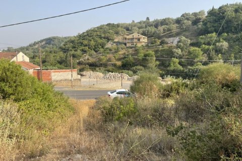 21000m² Land in Corfu, Greece No. 56187 25