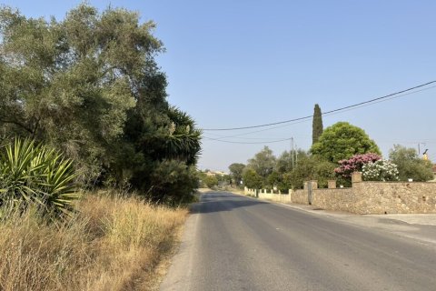 21000m² Land in Corfu, Greece No. 56187 26