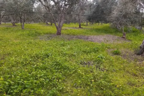 26088m² Land à Moni, Cyprus No. 45757 4