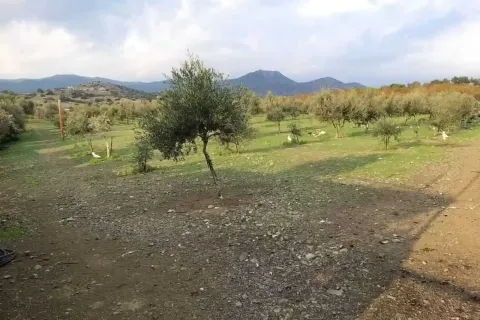 26088m² Land in Moni, Cyprus No. 45757 10