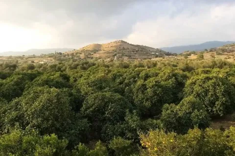 26088m² Land à Moni, Cyprus No. 45757 9