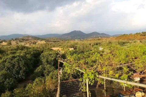 26088m² Land à Moni, Cyprus No. 45757 6