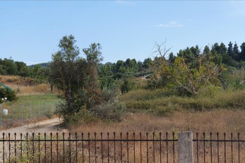 6800m² Land in Chalkidiki, Greece No. 56471 2