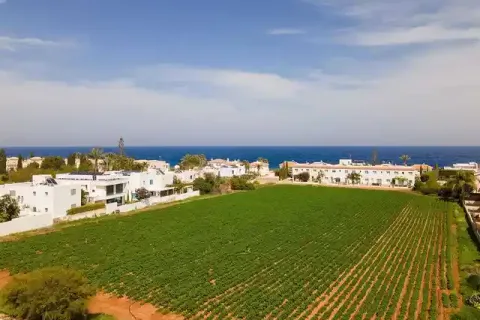 6888m² Land en Protaras, Cyprus No. 35896 1