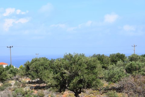 3900m² Land in Vamos, Greece No. 57809 8