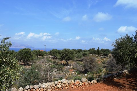 3900m² Land in Vamos, Greece No. 57809 7