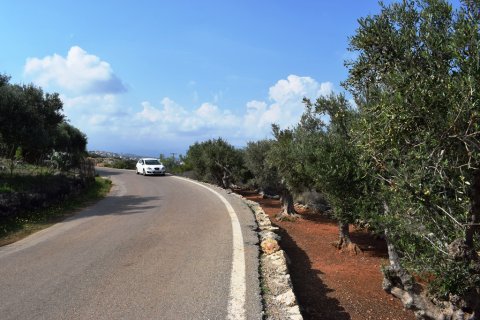 3900m² Land in Vamos, Greece No. 57809 12