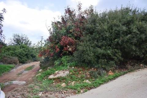 10000m² Land en Rethymno, Greece No. 57804 9