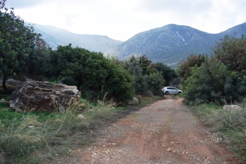 10000m² Land in Rethymno, Greece No. 57804 4