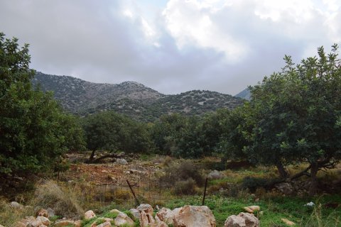 10000m² Land en Rethymno, Greece No. 57804 3