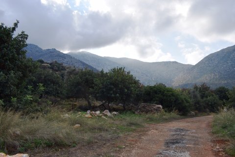 10000m² Land en Rethymno, Greece No. 57804 7