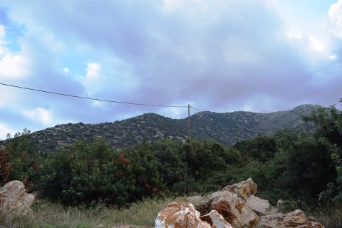 10000m² Land in Rethymno, Greece No. 57804 5