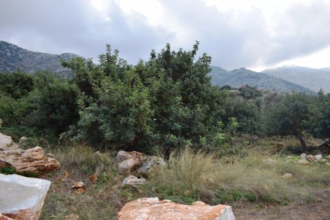 10000m² Land in Rethymno, Greece No. 57804 6