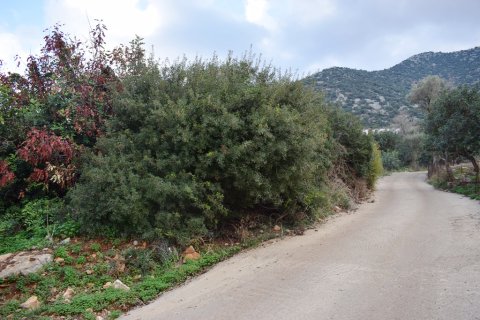 10000m² Land in Rethymno, Greece No. 57804 8