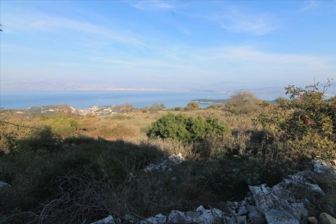 22000m² Land in Corfu, Greece No. 57803 5