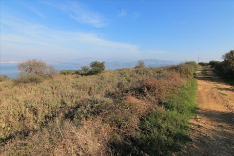 22000m² Land in Corfu, Greece No. 57803 3