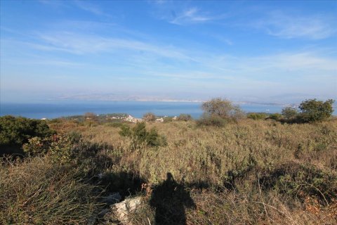 22000m² Land à Corfu, Greece No. 57803 2