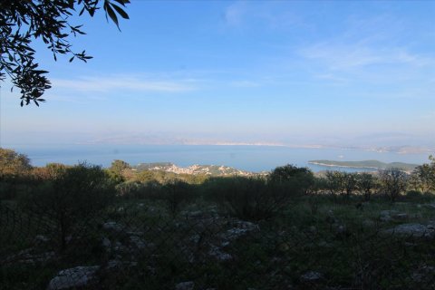 22000m² Land in Corfu, Greece No. 57803 1